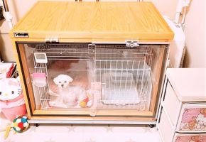 防音ケージカバー5タイプのカギの部分をクレセントにしました。開け閉めが簡単に出来て鍵部分んも上部のみ。内部に4㎜の引き違いの扉が付きます。持ち上げれば外せ前面が全開になります。ケージも出せます。介護もしやすくなります。 仔犬から老犬まで永く使える商品です。扉の開け閉めに場所を取りません。半分のアクリルを外し中の扉を右に寄せればワンちゃんは、出せます。 面ごとのパーツでお届けします。プラスドライバーで簡単に組み立て出来ます。組み立て説明も付きます。組み立てた状態でお届けする事も出来ます。(マンションは、